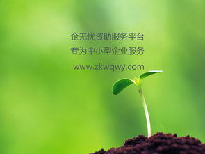 高新技術(shù)企業(yè)認(rèn)定流程指南 技術(shù)開發(fā)類企業(yè)